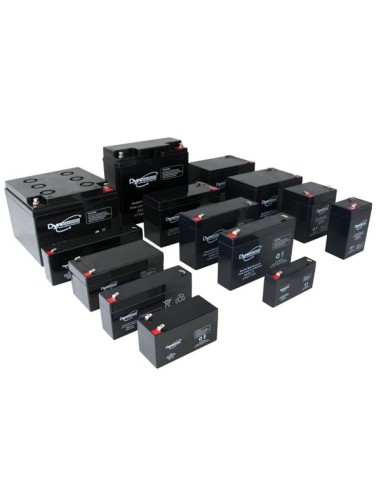 LEAD ACID BATTERY 6 V - 10 Ah 151 x 50 x 101 mm