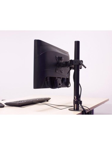 Einzelner Monitorarm