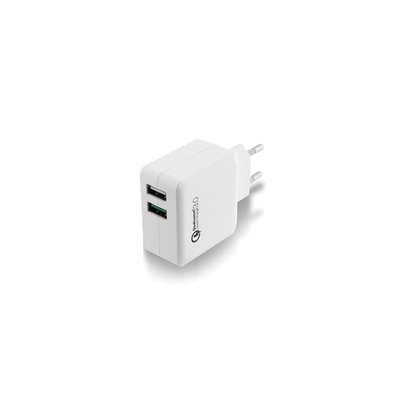 EWENT - 2-POORTS USB-LADER 110 - 240 VAC -  QUICK CHARGE 3.0 POORT