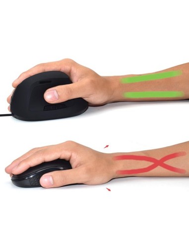 EWENT - SOURIS ERGONOMIQUE VERTICALE - USB