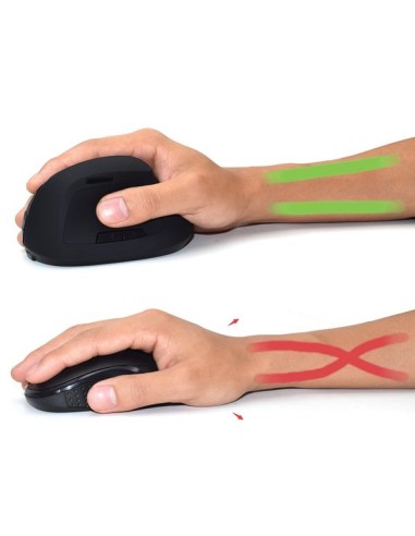 EWENT - SOURIS ERGONOMIQUE SANS FIL