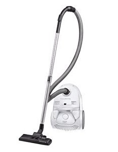 Aspirateur Rowenta RO3927EA