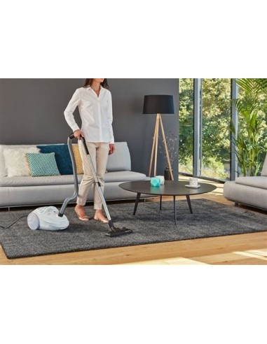 Rowenta RO3927EA stofzuiger