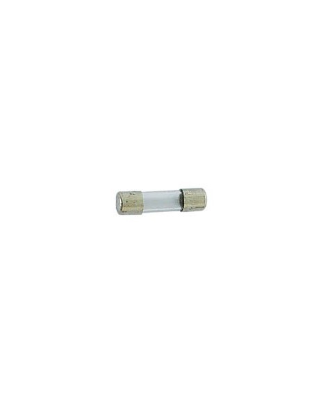 FUSIBLE 5 x 20mm RETARDE 2A (10pcs/boîte)