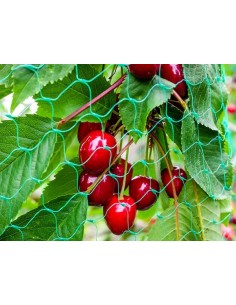 VOGELSCHUTZNETZ 2 x 10 m 2