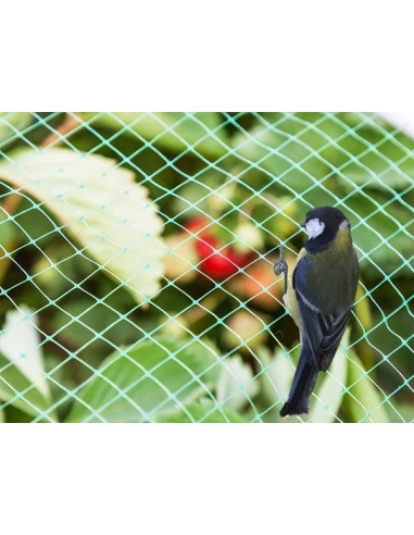 VOGELNET 4 x 10 m