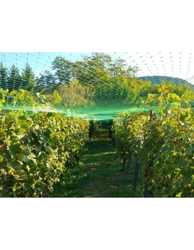BIRD NET 8 x 8 m