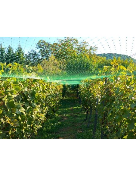 BIRD NET 8 x 8 m