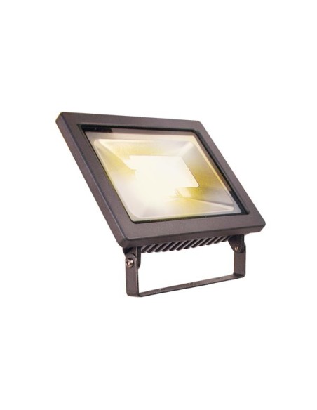 GARDEN LIGHTS - FLOOD 12 - SPOT - 12 V - 750 lm - 12 W - 3000 K