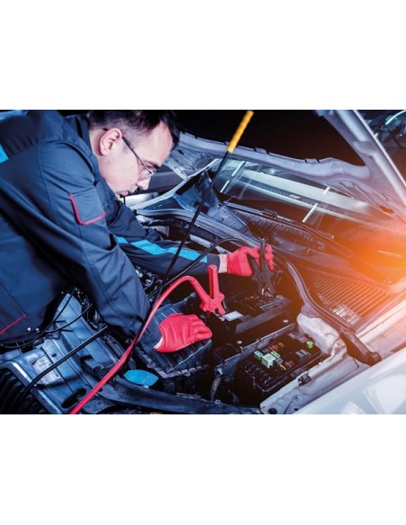 CHARGEUR POUR BATTERIE À ACIDE DE PLOMB - 12 V - 6 A