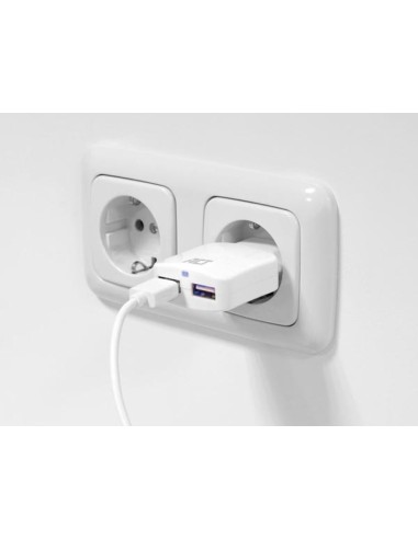 Chargeur USB 110-240 V 2 ports smart charging...