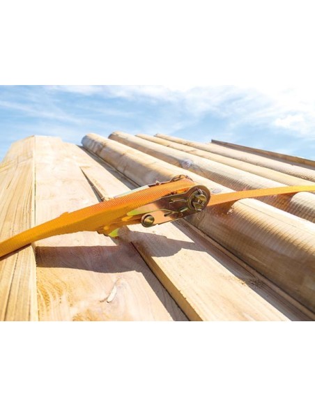 SANGLE D'ARRIMAGE AVEC TENDEUR À CLIQUET - MAX. 500 kg - 3.65 m x 25 mm