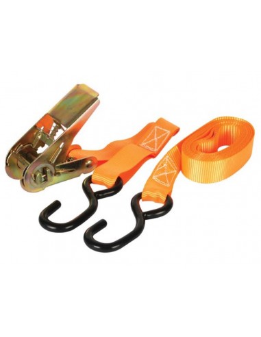 RATCHET TIE-DOWN WITH HOOKS - max. 500 kg - 4.5 m x 25 mm