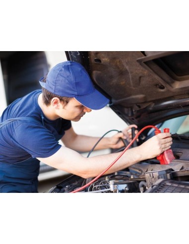 MINI BOOSTER HAUTE PUISSANCE - 12 VCC / 14 A -...