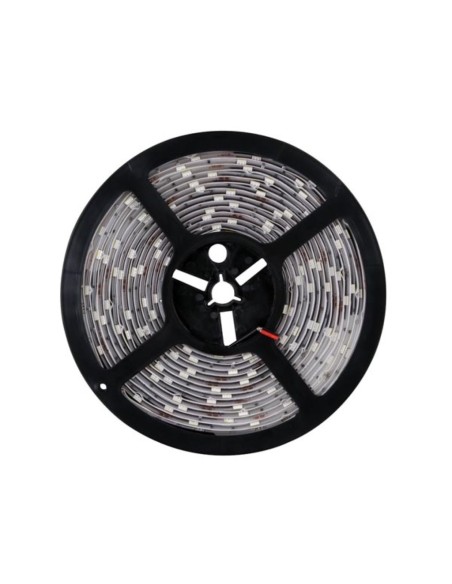 FLEXIBLE LED - BLANC FROID - 300 LED - 5 m - 12 V
