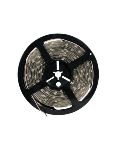 FLEXIBLE LED - BLANC CHAUD - 300 LED - 5 m - 12 V