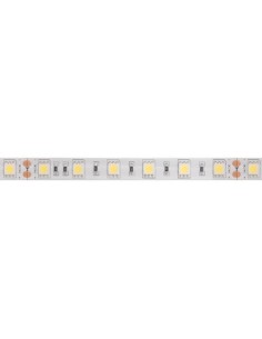 FLEXIBLE LED - BLANC FROID - 300 LED - 5 m - 24 V