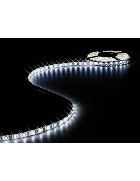 FLEXIBLE LED - BLANC FROID - 300 LED - 5 m - 24 V