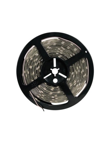 FLEXIBLE LED - BLANC CHAUD - 300 LED - 5 m - 24 V