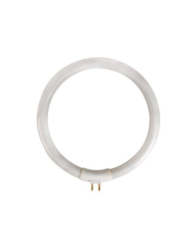 CIRCULAR FLUORESCENT TUBE 12W/T4 FOR VTLAMP10