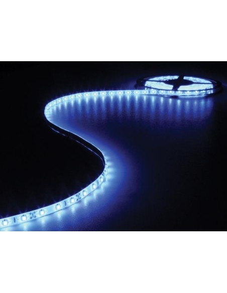 FLEXIBLE À LED - BLEU - 300 LED - 5 m - 12 V