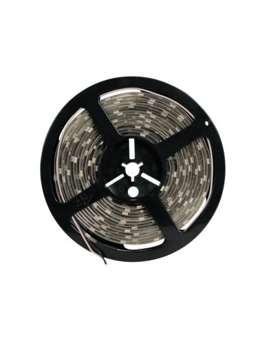 FLEXIBLE À LED - BLEU - 300 LED - 5 m - 12 V