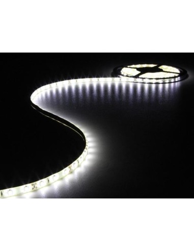 FLEXIBLE À LED - BLANC FROID - 300 LED - 5 m - 12 V