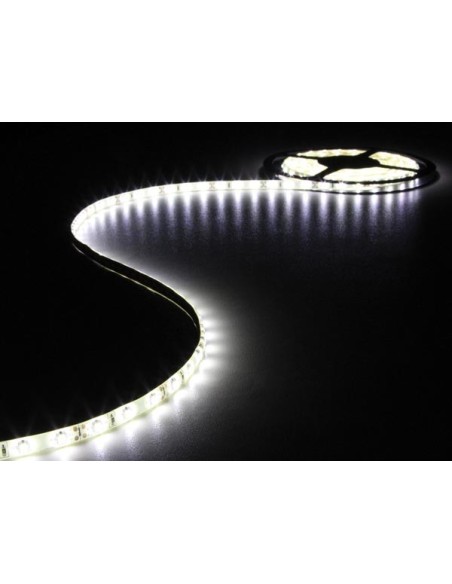 FLEXIBLE À LED - BLANC FROID - 300 LED - 5 m - 12 V