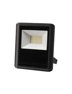 PROJECTEUR LED D'EXTÉRIEUR - 30 W, BLANC NEUTRE - NOIR