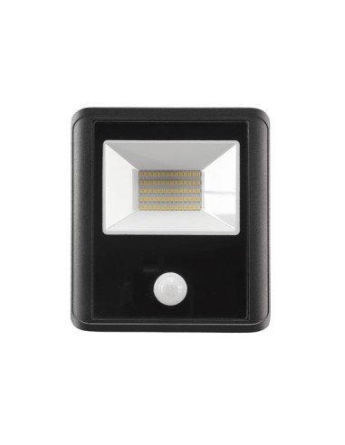 PROJECTEUR LED D'EXTÉRIEUR - 50 W, BLANC NEUTRE...