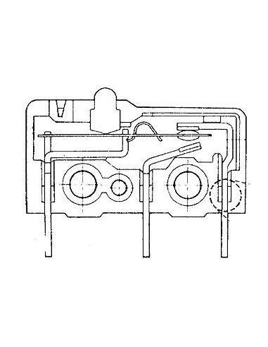 MICROSCHAKELAAR 5A, LANGE HENDEL