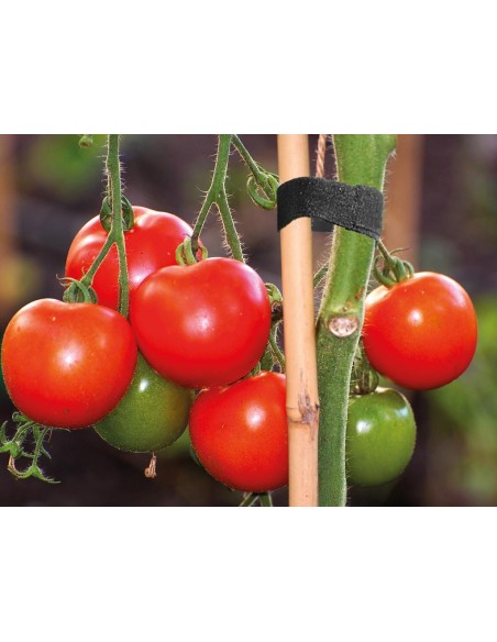 Klettband - Rolle 2m x 2cm - Farbe schwarz