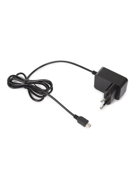 COMPACTE LADER MET MINI-USB-AANSLUITING - 5 VDC - 1 A