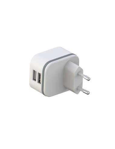 COMPACTE LADER MET 2 USB-AANSLUITINGEN - 5 V -...