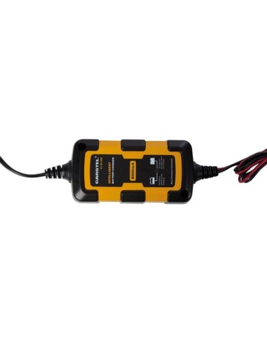 INTELLIGENT BATTERY CHARGER - 800 mA