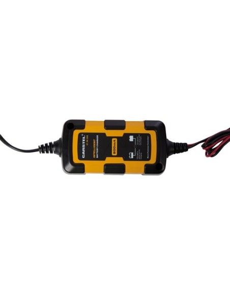 INTELLIGENT BATTERY CHARGER - 800 mA
