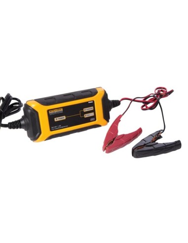 CHARGEUR INTELLIGENT POUR BATTERIE À ACIDE DE...
