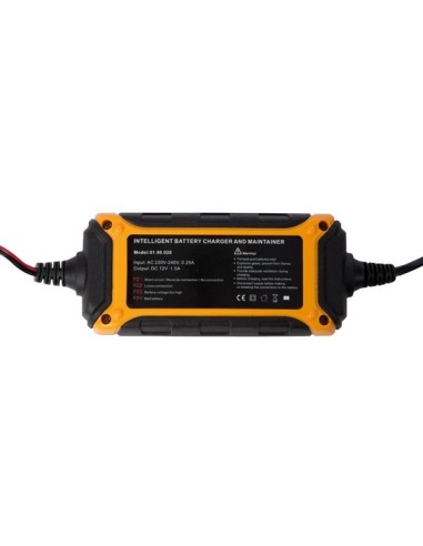 CHARGEUR INTELLIGENT POUR BATTERIE À ACIDE DE...