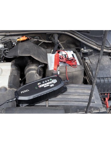 CHARGEUR INTELLIGENT POUR BATTERIE DE VÉHICULE - 6 V / 12 V - 3.8 A