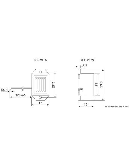 MECHANICAL BUZZER / LEADS