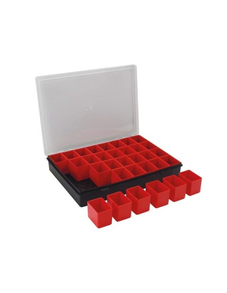 TAYG - Sorteerdoos - 330 x 247 x 54 mm - 32 Uitneembare Vakken