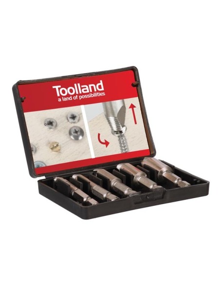 SCHRAUBENAUSDREHER-SET - 5-tlg.