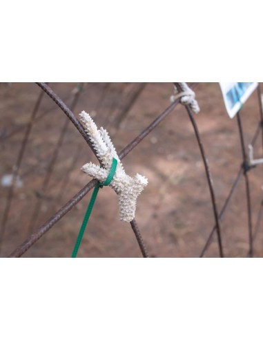 NYLON CABLE TIE SET - 4.8 x 300 mm - GREEN (100...