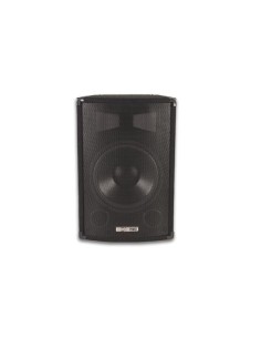 2-WAY SPEAKER - 8" - FULL GRID - 300 W - BLACK