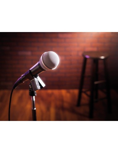 SUPPORT UNIVERSEL POUR MICROPHONE 35 mm avec pince