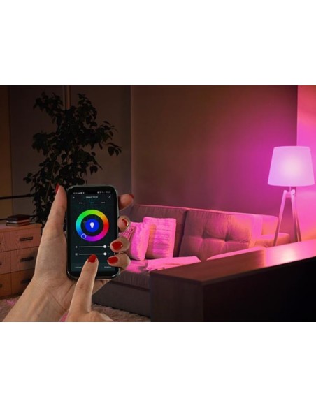 RGB SMART-WI-FI-LAMPE - KALTWEIß & WARMWEIß - E27 - A60
