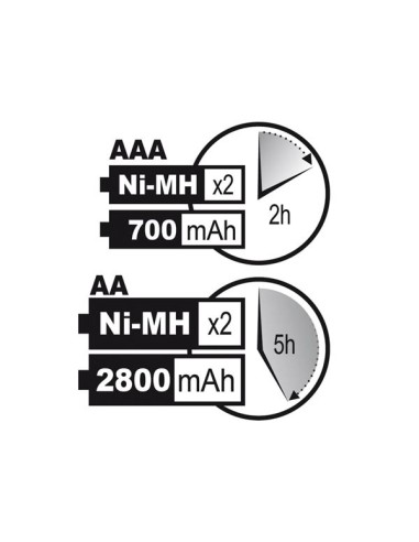 SNELLADER VOOR NIMH-BATTERIJEN MET USB-UITGANG