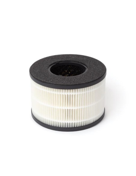 HEPA FILTER FOR AIRP001