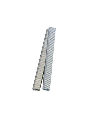 Staples 10 mm - 2000 pcs