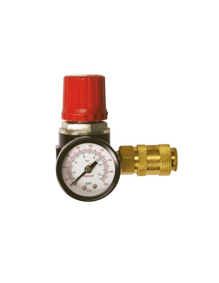Régulateur de Pression avec Manomètre et Vanne d'Air - 1/4" M